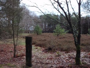 CTF Celle 034